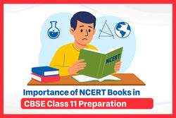 Importance of NCERT Books in CBSE Class 11 Preparation